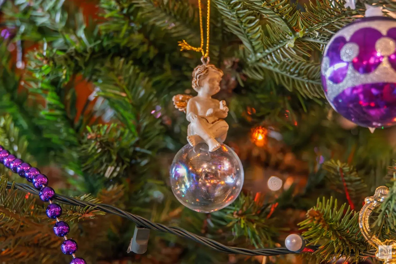 2025-12-20 Kerstfeest Walter en Sigrid - 20251220-DSC09961