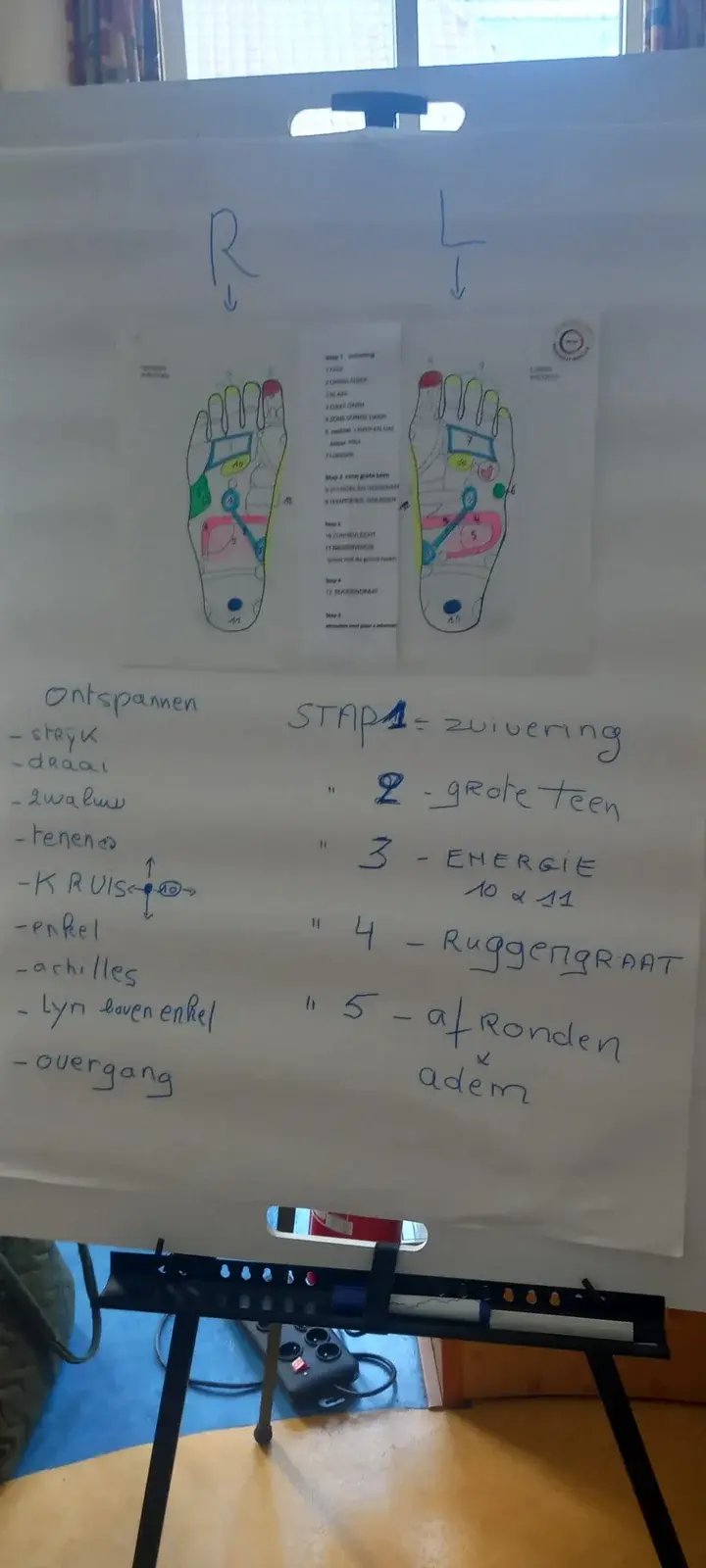 2026-03-28 Voeten en Muziek - Pijler België - WhatsApp Image 2026-03-29 at 12.57.12 (1)